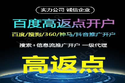 专业竞价SEM托管成功案例解析